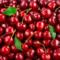 Firecracker Pop: Raspberry, Lemon & Cherry Scented Summer Candle (18 oz)